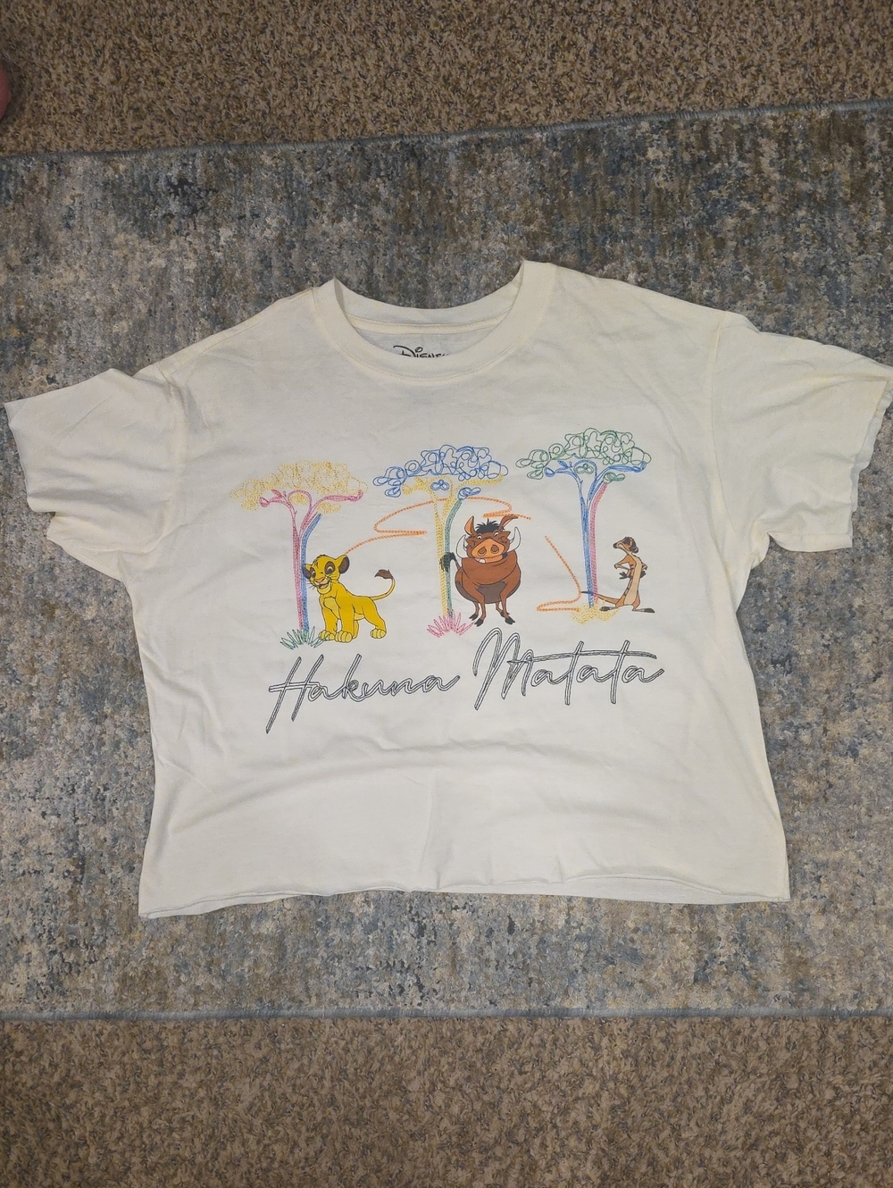 Disney Cream Hakuna Matata Graphic Tee with Multicolor Characters